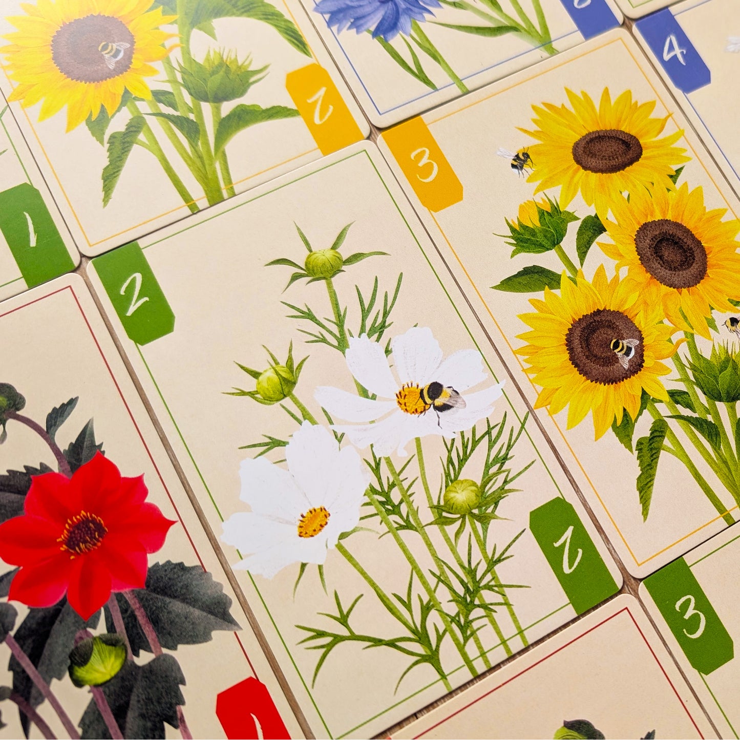 Floral-themed cards with sunflowers, red flowers, and white flowers on a beige background.