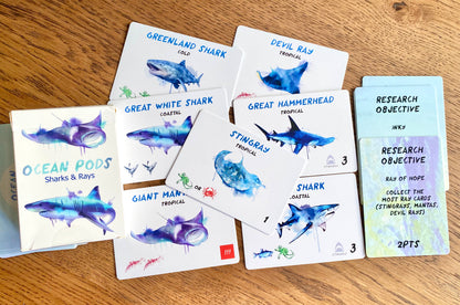 Ocean Pods + Expansion Deal