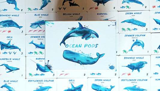 Educational chart with illustrations of whales and dolphins, labelled 'Ocean Pods'.